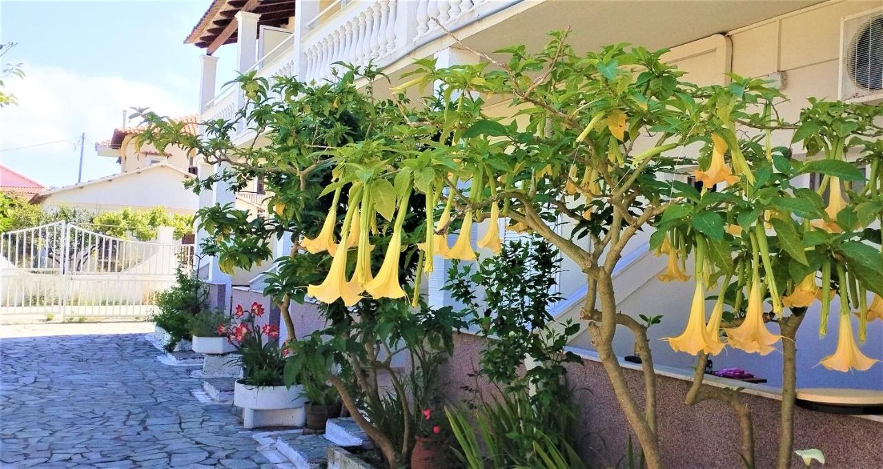 אגיוס גיורגיוס Eleni Apartments Sant George Beach מראה חיצוני תמונה